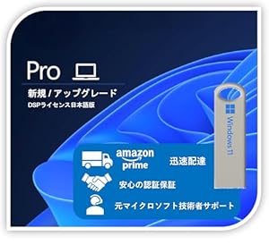 NewLife NewDesing Windows 11 Pro DSP版 正規ライセンス インストールUSB付属