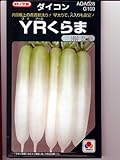 ＹＲくらま　タキイ交配の秋大根種です