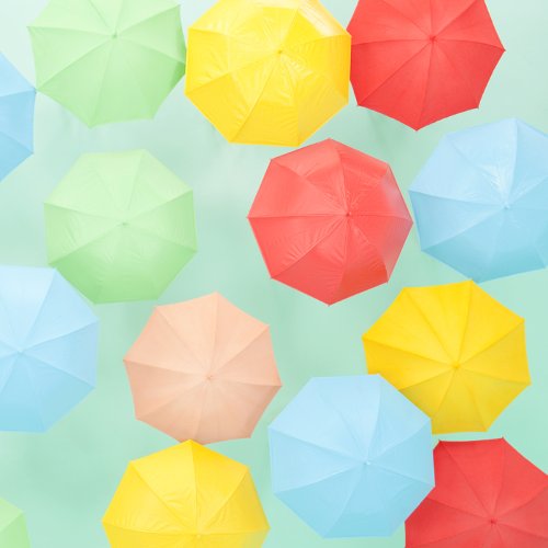 傘 竹仲絵里 Oricon News