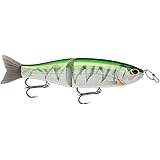 Amazon ラパラ Rapala ストーム アラシ グライドベイト 19cm 691 グリーンギル ラパラ Rapala ルアー