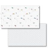 PARKLON(パークロン) やわらかクッションマット プレイマット (抗菌/防水/防音/防炎/低反発) リバーシブルマット (250×140×1.2cm, On the road)