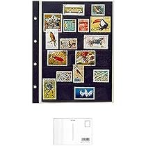 Amazon | テージー スタンプアルバム デラックス スペア 切手単