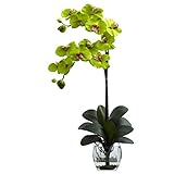 Nearly Natural 1323-GR Double Phalaenopsis Orchid with Vase Arrangement, Green [並行輸入品]
