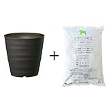 フレグラー ポット 24型 ダークブラウン / 培養土 & 鉢底石 付き ＜当店は 苗 種 鉢 培養土 ニーム の専門店＞