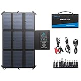 BigBlue 63W ソーラーチャージャー ソーラー充電器 ソーラーパネル 9枚搭載 USB 電源ポート エコ充電 ４つポート(19V D