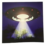 クリエイティブモーションLighted UFO Painting