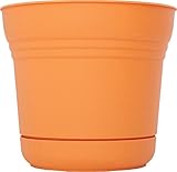 土星プランターテキーラサンライズSP0720 7in Bloem