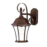 Acclaim 5423BW New Orleans Collection 1-Light Wall Mount Outdoor Light Fixture, Burled Walnut [並行輸入品