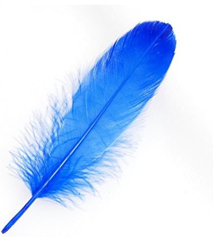 Amazon | 鳥の羽-ピーコック・アイ Sサイズ 4本 [019-Eye-S-N