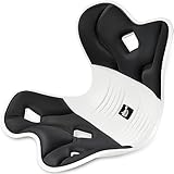 姿勢矯正 椅子【2024最新昇級 腰痛 椅子】 DEZIYUA チェア 骨盤から腰をサポート 高反発メモリー綿 腰当て クッション 軽量 持