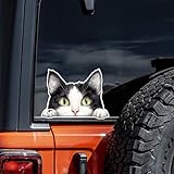 2個セット のぞき見猫 車用ステッカー 14x10.5cm 防水PVC製 ノートPC・車・ヘルメット・冷蔵庫・スーツケース用 傷防止&楽しいカーアクセサリー |#AZ221
