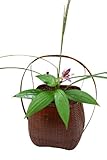竹製花籠「若山籠」