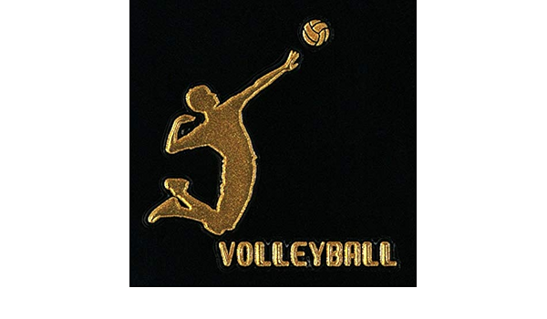 Amazon スポーツ 蒔絵シール バレーボール 男子 スパイク 金 シール ステッカー おもちゃ