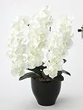 アートフラワー 造花 プレミアム胡蝶蘭W〔フロアタイプ〕フラワーアレンジメント インテリア 光触媒 花 スプレー インテリアグリーン 胡蝶蘭 消臭 大型