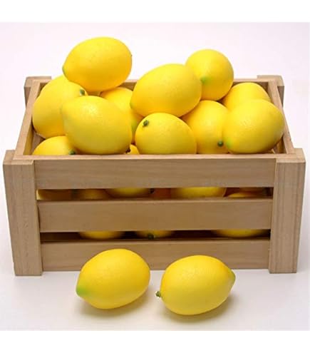 Amazon.co.jp: Bright and Sophia 食品 サンプル ディスプレイ