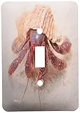 3drose LSP _ 46361 _ 1 Hermit Crab、Coenobita perlatus、鳥I。、Mili、マーシャル諸島Single切り替えスイッチ