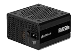 CORSAIR RM750e -2025- PC電源ユニット 750W CP-9020295-JP