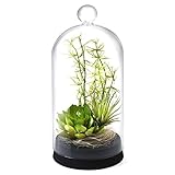 GREENPARK 多肉植物ミックスA ガラスドームM 造花 フェイクグリーン