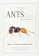 Ants of Africa and Madagascar: A Guide to the Genera