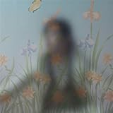 Generic 90Cm Width Diy Self Adhesive Privacy Office Home Bathroom Bedroom Light Through Glass Film W