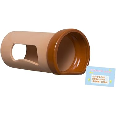 Amazon.co.jp 最新リリース: 観賞魚用品・アクアリウム の新着