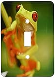 3dRose lsp_10387_1 Green Tree Frog On A Twig Single Toggle Switch
