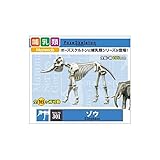 リーメント 301 ゾウ ホビー エトセトラ おもちゃ その他のおもちゃ [並行輸入品]