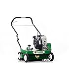Billy Goat CR550HC Honda GC Engine Power Rake, 20", 5 hp [並行輸入品]