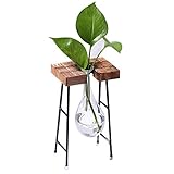 liankeshop　ドロップ型植物水耕ガラスびん　革新的　創意的な　花器　木製枠アイアンブラケット 水耕栽培 花瓶 卓上 花瓶 フラワーケース