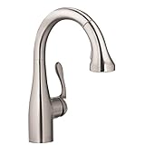 Hansgrohe 04297800 Allegro E Gourmet Prep Kitchen Faucet, Steel Optik [並行輸入品]