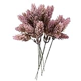 SM SunniMix 現実的　人工植物　プラスチック　松　ナッツ　植物　花　ホーム　ガーデン　結婚式　装飾　耐久性　4種選べる - C