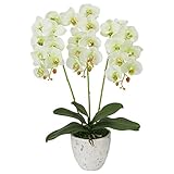 MAGIQ 東京堂 上質な造花 ピュアオーキッド3本立て  光触媒 #ライトグリーン ZV008080-023