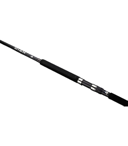 Amazon | JACKALL(ジャッカル) シアン (CiAN) CiAN-99XH | JACKALL