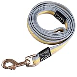 BRAVE WAKA 犬用リード カラフルストライプ 小型犬・中型犬・大型犬対応 散歩用 軽量 コットン素材(ブルー)