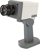 Fake Security Camera With Motion Detector [並行輸入品]