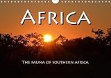 Africa 2018: The fauna of Southern Africa (Calvendo Animals)