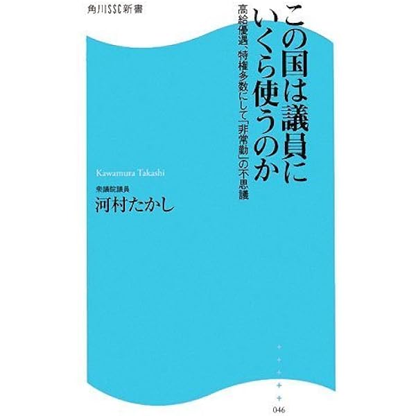 名古屋発どえりゃあ革命！ (ベスト新書 316) Amazon.co.jp: 名古屋発どえりゃあ革命！ (ベスト新書 316