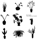 �|�X�g�J�[�Y�E�t�����E�t�@���g���E�A�C�����h