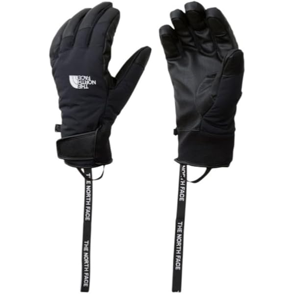 ノースフェイス　フェイキーグローブ　the north face ザ・ノース・フェイス(THE NORTH FACE) スキーグローブ ミトン