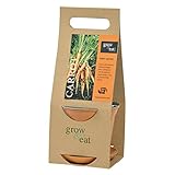 花ごころ grow&eat栽培セット ミニキャロット