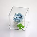 アートフォーシーズン miniキューブ (2.ブルー　ブルー発光)　"光るバラ" ホタル　プリザーブドフラワー