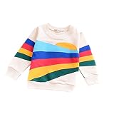 Elfin Parkベビー Tシャツ 長袖 カットソー スウェット シャツ キッズ 男の子 女の子 虹 丸首 長袖 日 デイリー スポーツ 日＋虹 90