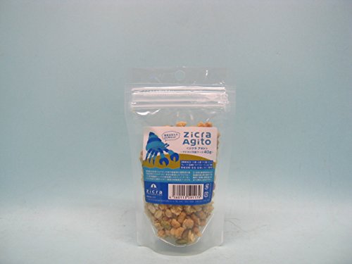 海水魚水槽にヤドカリを入れよう ヤドカリの特徴からメリット デメリットを解説 トロピカ