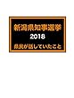 新潟県知事選 2018: 県民が話していたこと