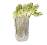 Chive Vie Jolie Dominique Vase [並行輸入品]