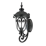 Acclaim 2111BK Naples Collection 1-Light Wall Mount Outdoor Light Fixture, Matte Black [並行輸入品]