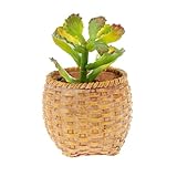GRALARA人工多肉植物　観葉植物　インテリア　オフィス　コーヒーハスウ　庭　装飾