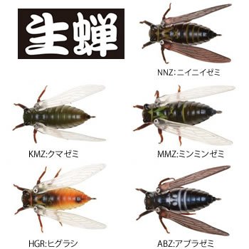 ジャクソン クオン 生蝉 4.5g 