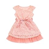 YAYUYAO 子供 女の子 ドレス レース 花柄 ノースリーブ 幼児 赤ちゃん カジュアルワンピース スカート子供服 お姫様 通園 発表会 旅行 プレゼント 1-6 歳 プリンセス (ピンク, 13