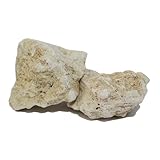 琉球石灰岩(2個入り)